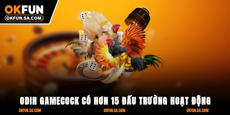 Odin Gamecock có hơn 15 đấu trường hoạt động